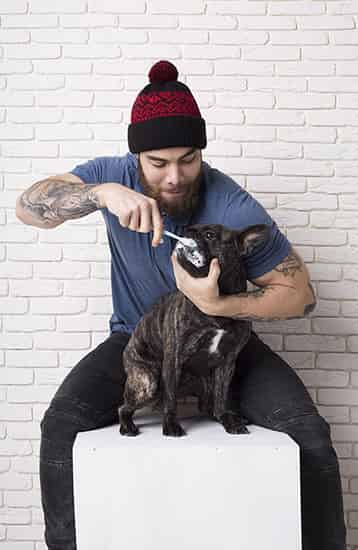 Chien lavage de dents