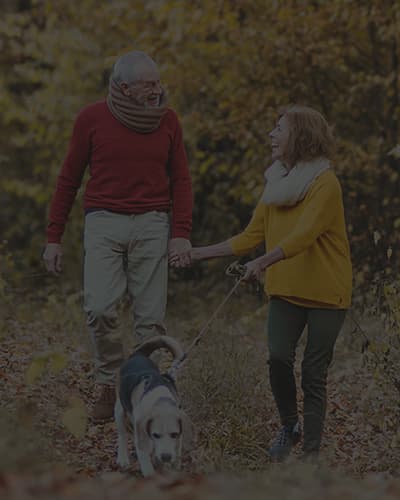 Promener son chien : nos conseils