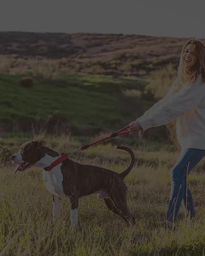 Mon chien tire en laisse