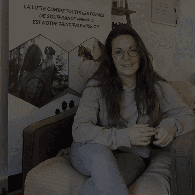 Les Belles Histoires d'Action Protection Animale