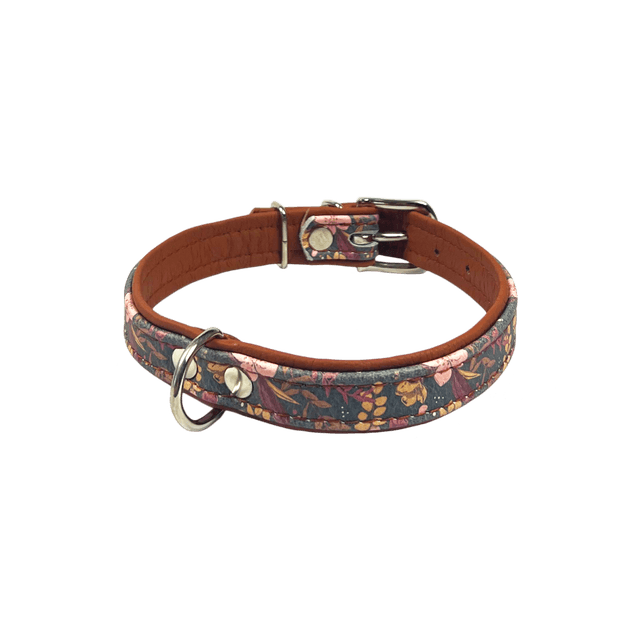 Comme Un Roi - Collier Cuir Bella Terra Caramel pour Chien