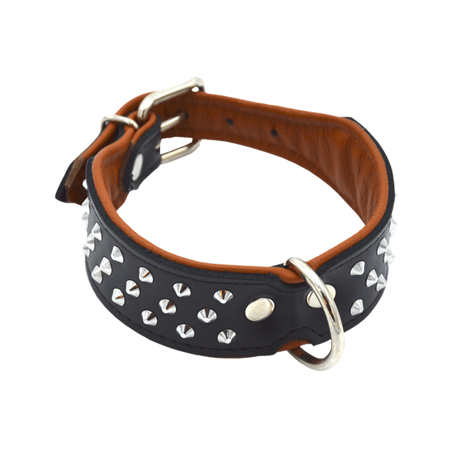 Comme Un Roi - Collier Cuir Clouté So Chic Noir pour Chien