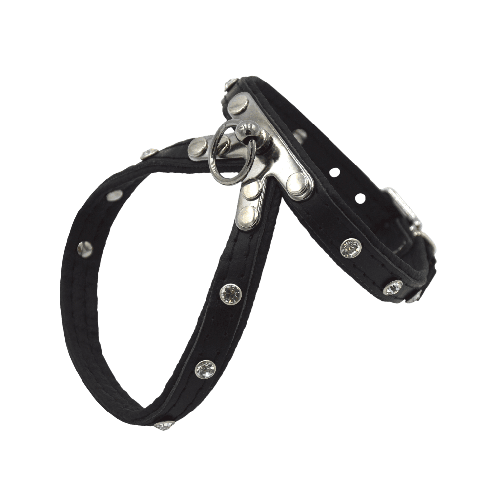 Comme Un Roi - Harnais Cuir So Chic Noir pour Chien