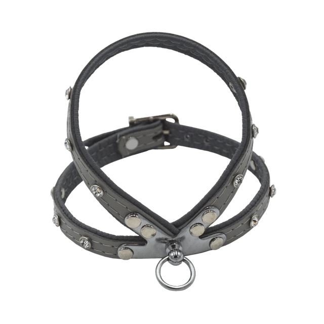 Comme Un Roi - Harnais Cuir So Nature Gris pour Chien