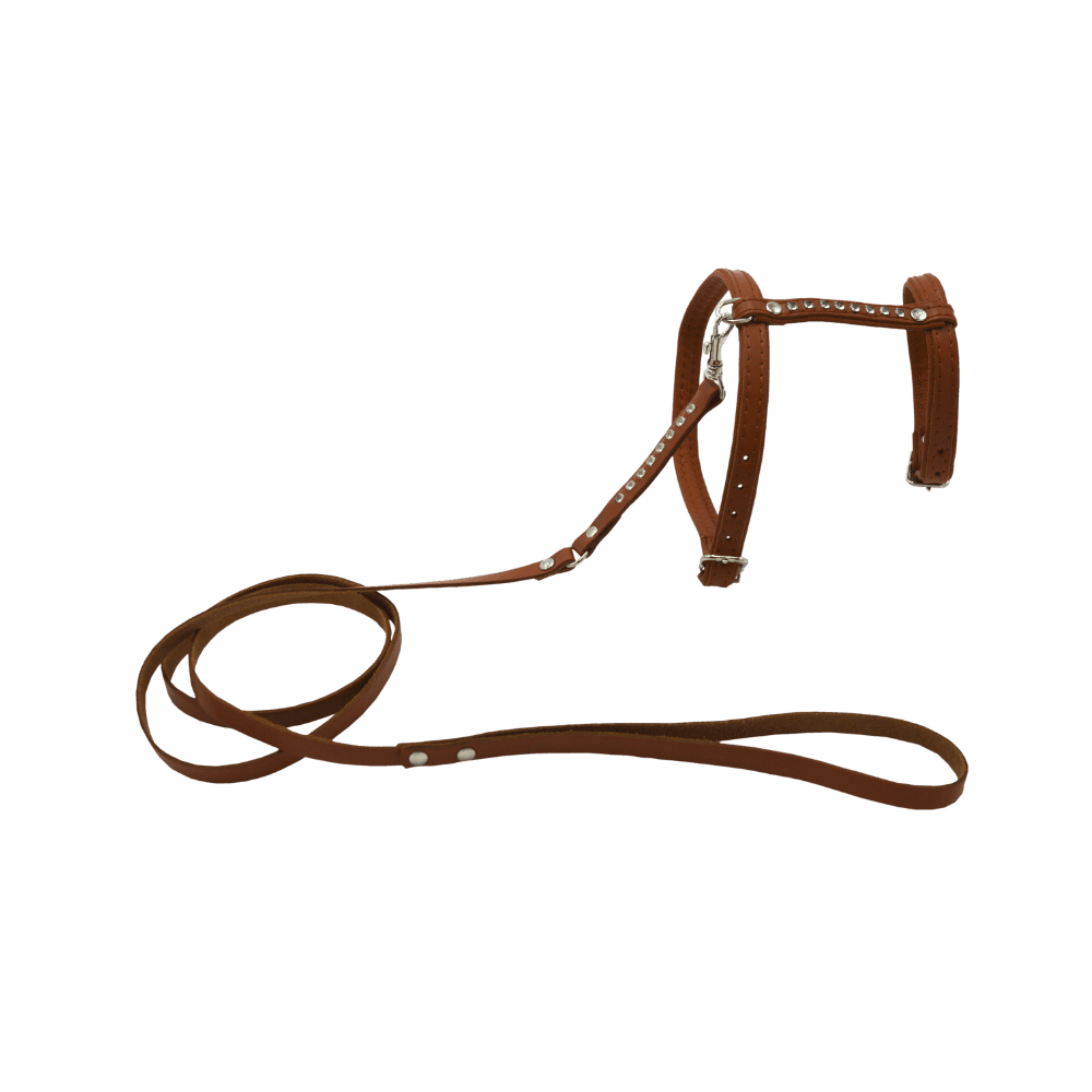 Comme Un Roi - Harnais et Laisse Cuir So Chic Caramel pour Chat - TU