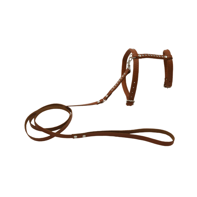 Comme Un Roi - Harnais et Laisse Cuir So Chic Caramel pour Chat - TU