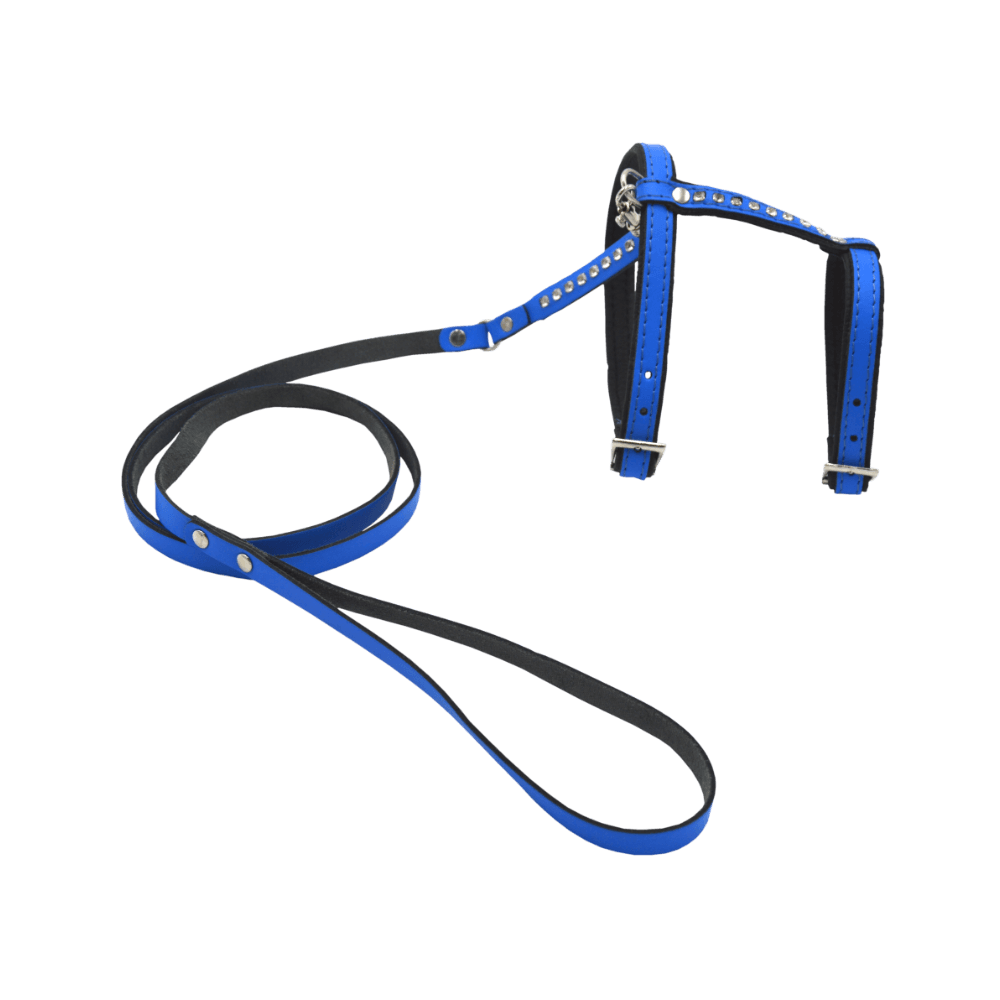 Comme Un Roi - Harnais et Laisse Cuir So Funky Bleu pour Chat - TU