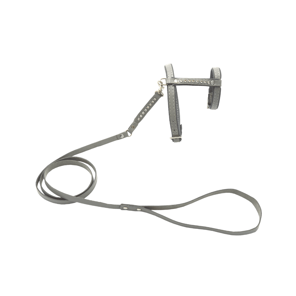 Comme Un Roi - Harnais et Laisse Cuir So Nature Gris pour Chat - TU