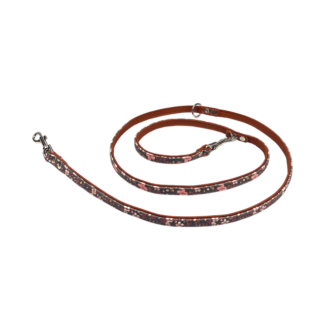 Comme Un Roi - Laisse Ajustable Bella Terra Caramel pour Chien