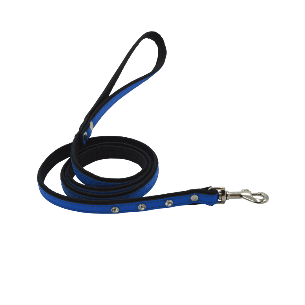 Comme Un Roi - Laisse Cuir et Strass So Funky Bleu / Noir pour Chien ou Chat - TU