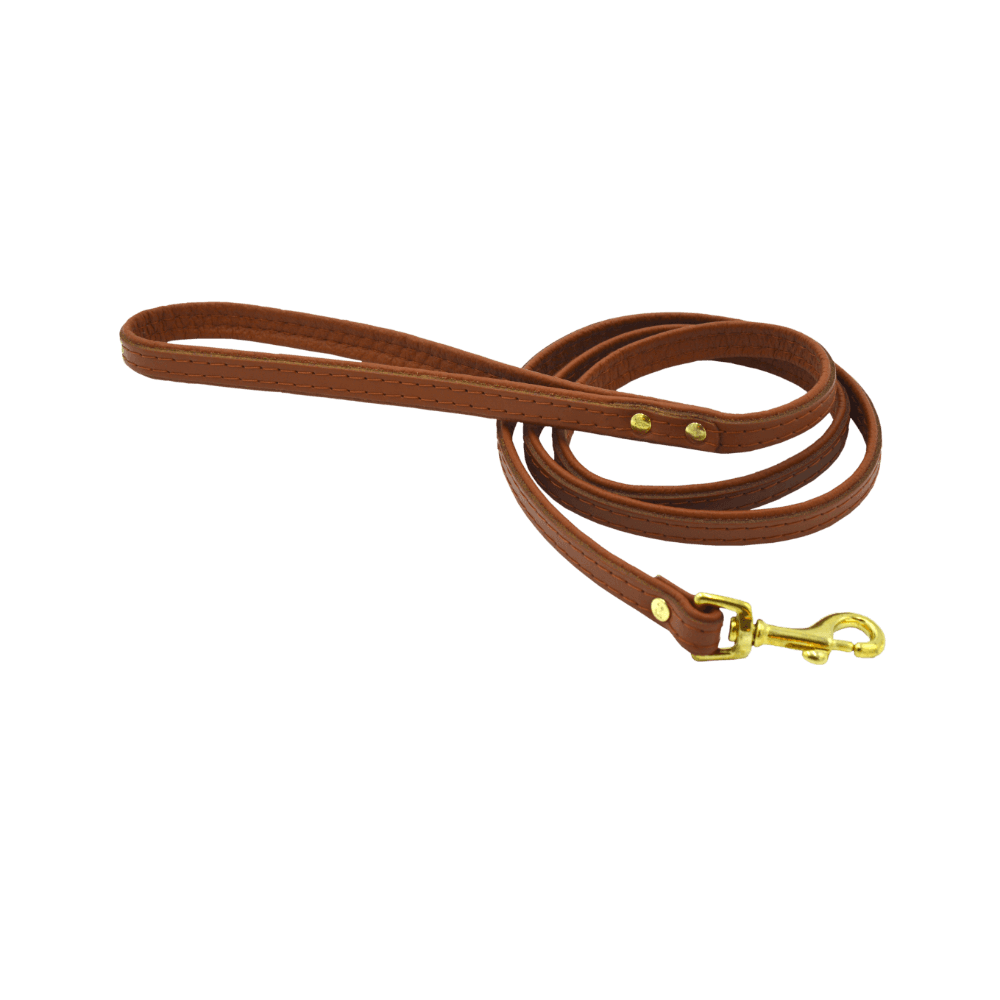 Comme Un Roi - Laisse Large Cuir So Chic Caramel pour Chien ou Chat - TU