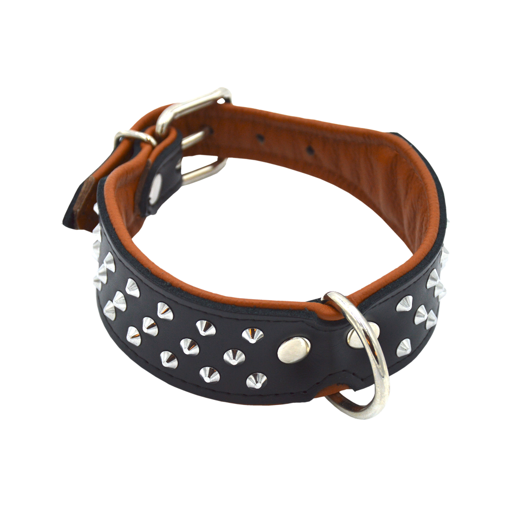 Comme Un Roi - Collier Cuir Clouté So Chic Noir pour Chien