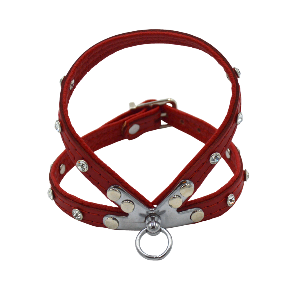 Comme Un Roi - Harnais Cuir So Trendy Rouge pour Chien