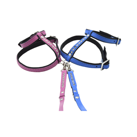 Comme Un Roi - Harnais et Laisse Cuir So Funky Bleu pour Chat - TU